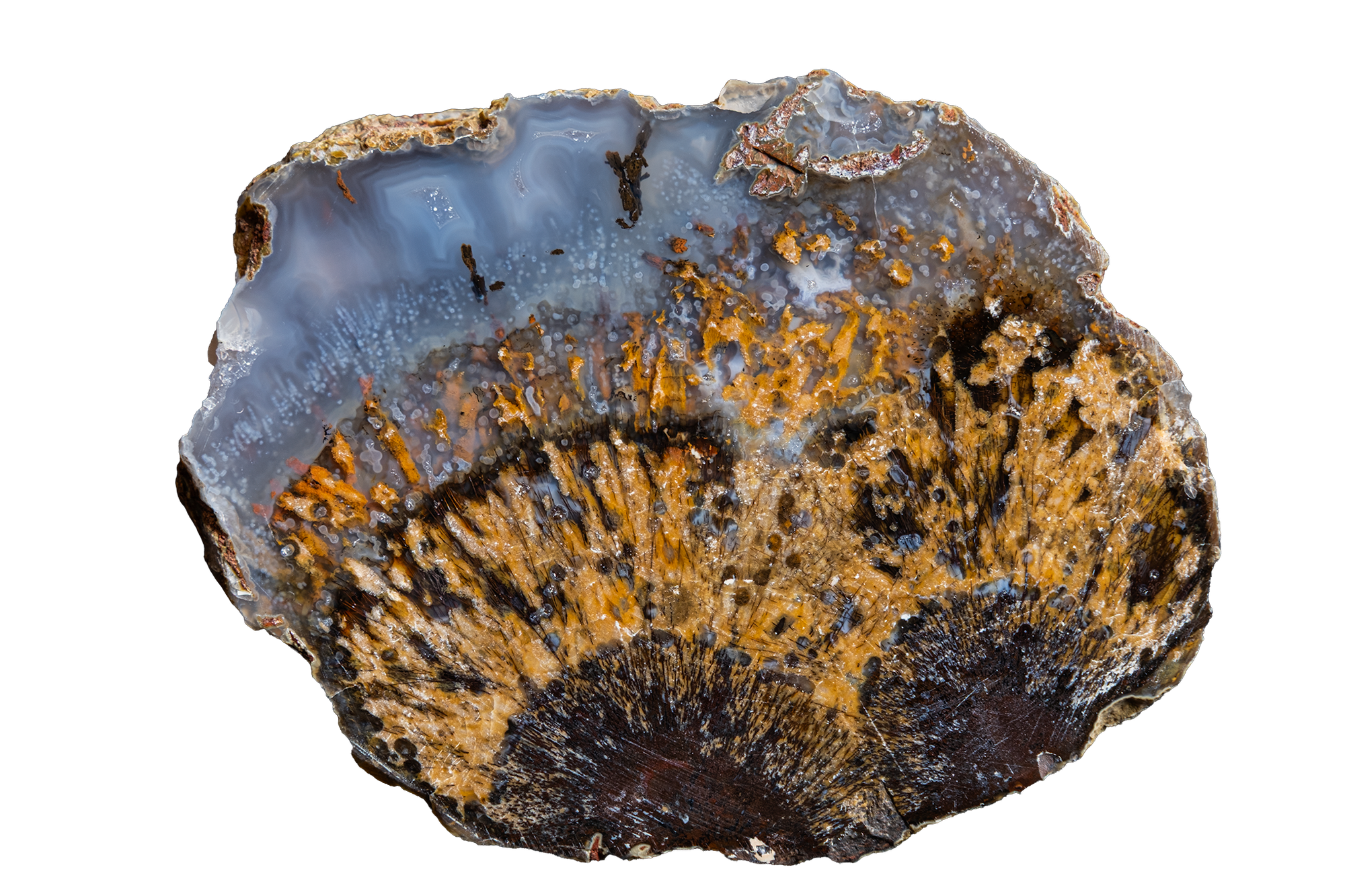 STMB01-12b | SANTA MONICA AGATE