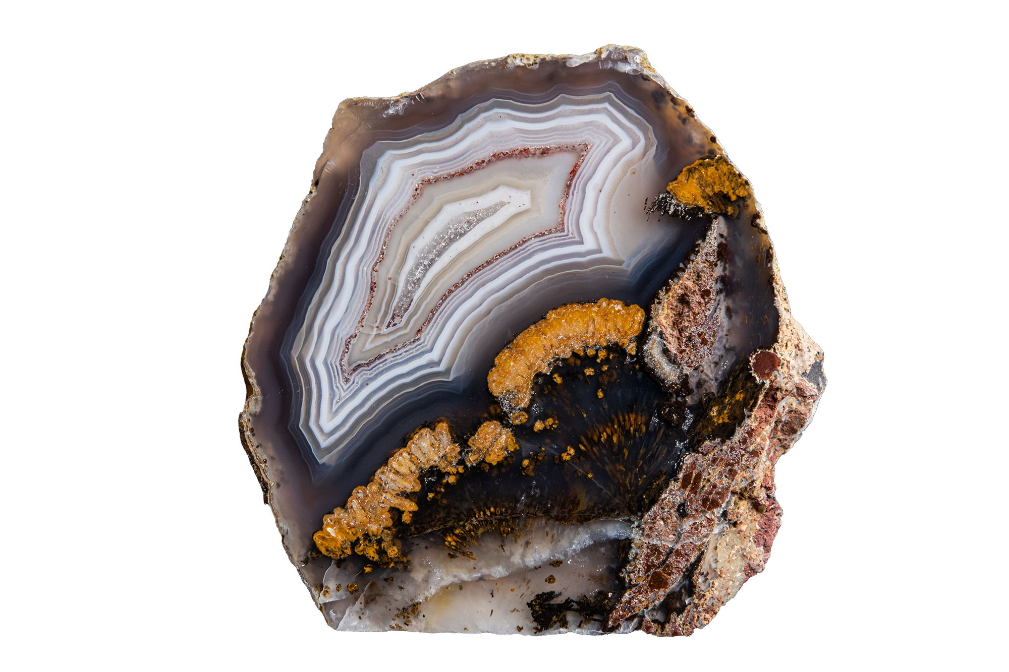 STMB01-01a | SANTA MONICA AGATE