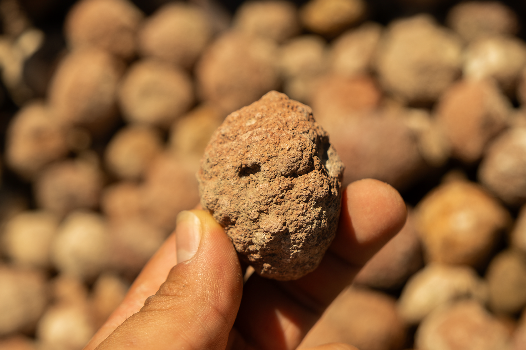 THE01 | DEL REY THUNDER EGG ROUGH