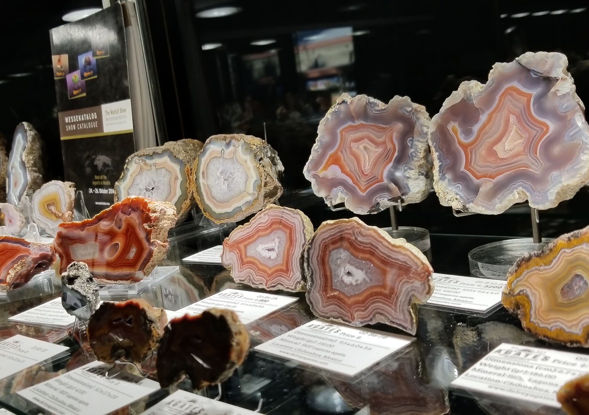 Collection of agate slices on display with labels in a darkened room.