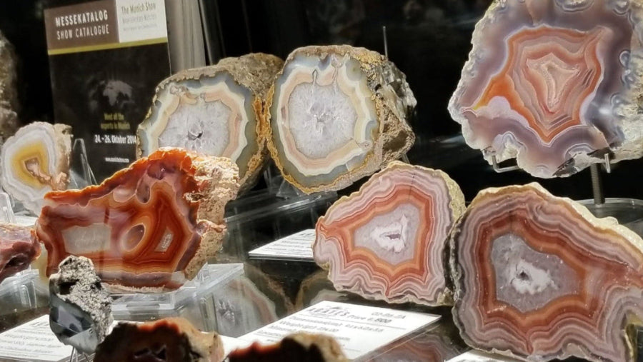 Collection of agate slices on display with labels in a darkened room.