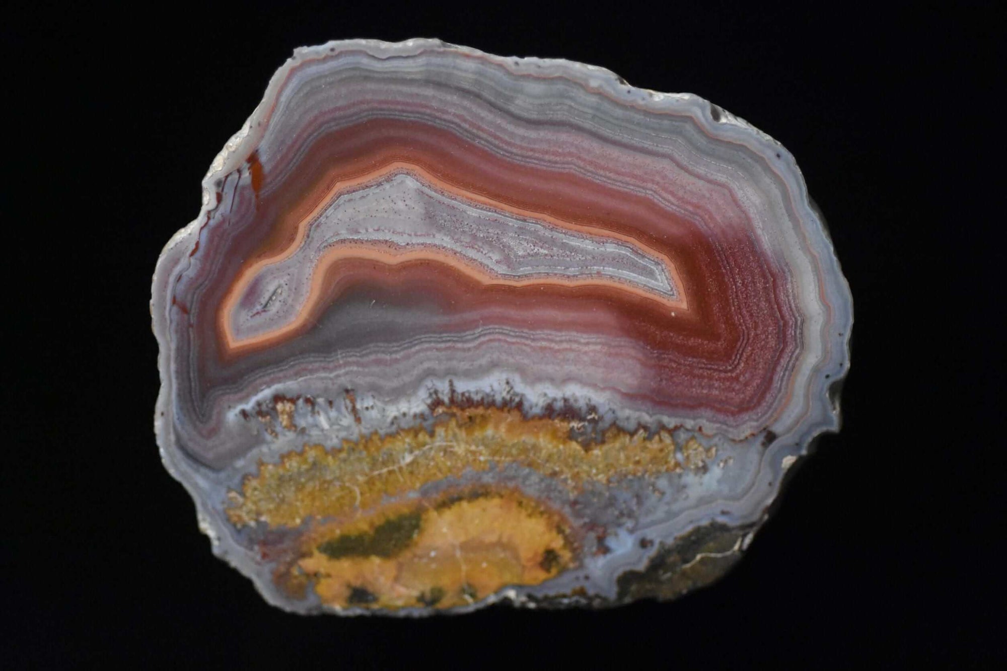 LAGUNA AGATE - Del Rey Agates Gems & Minerals Inc.