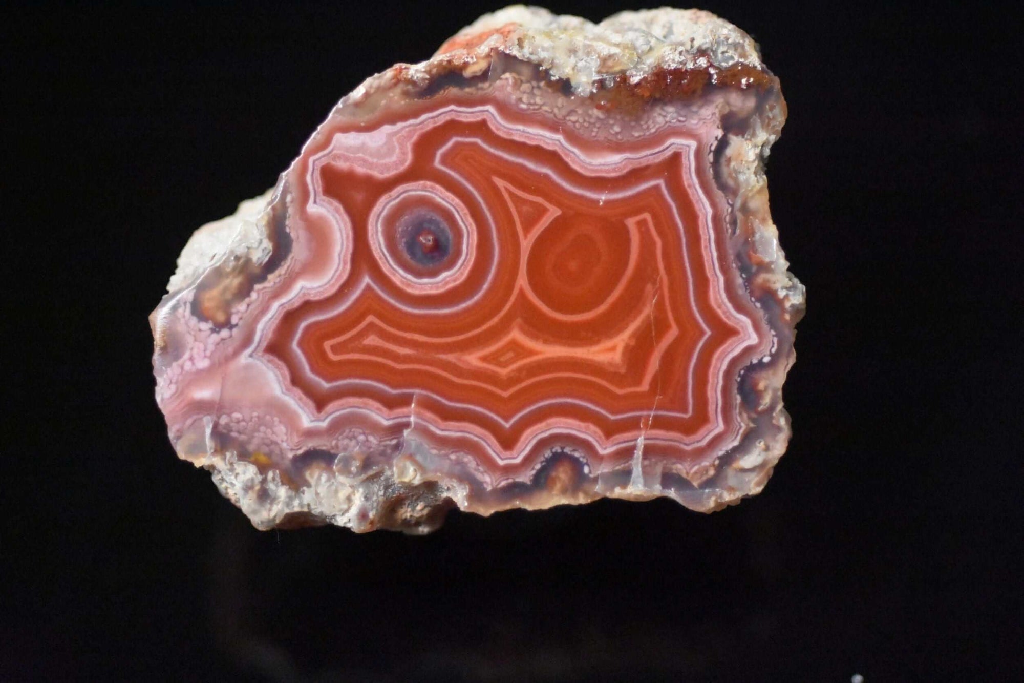 LAGUNA AGATE - Del Rey Agates Gems & Minerals Inc.
