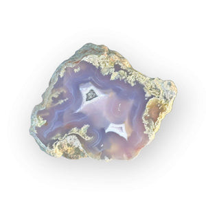 LAGUNA AGATE 113 - Del Rey Agates Gems & Minerals Inc.