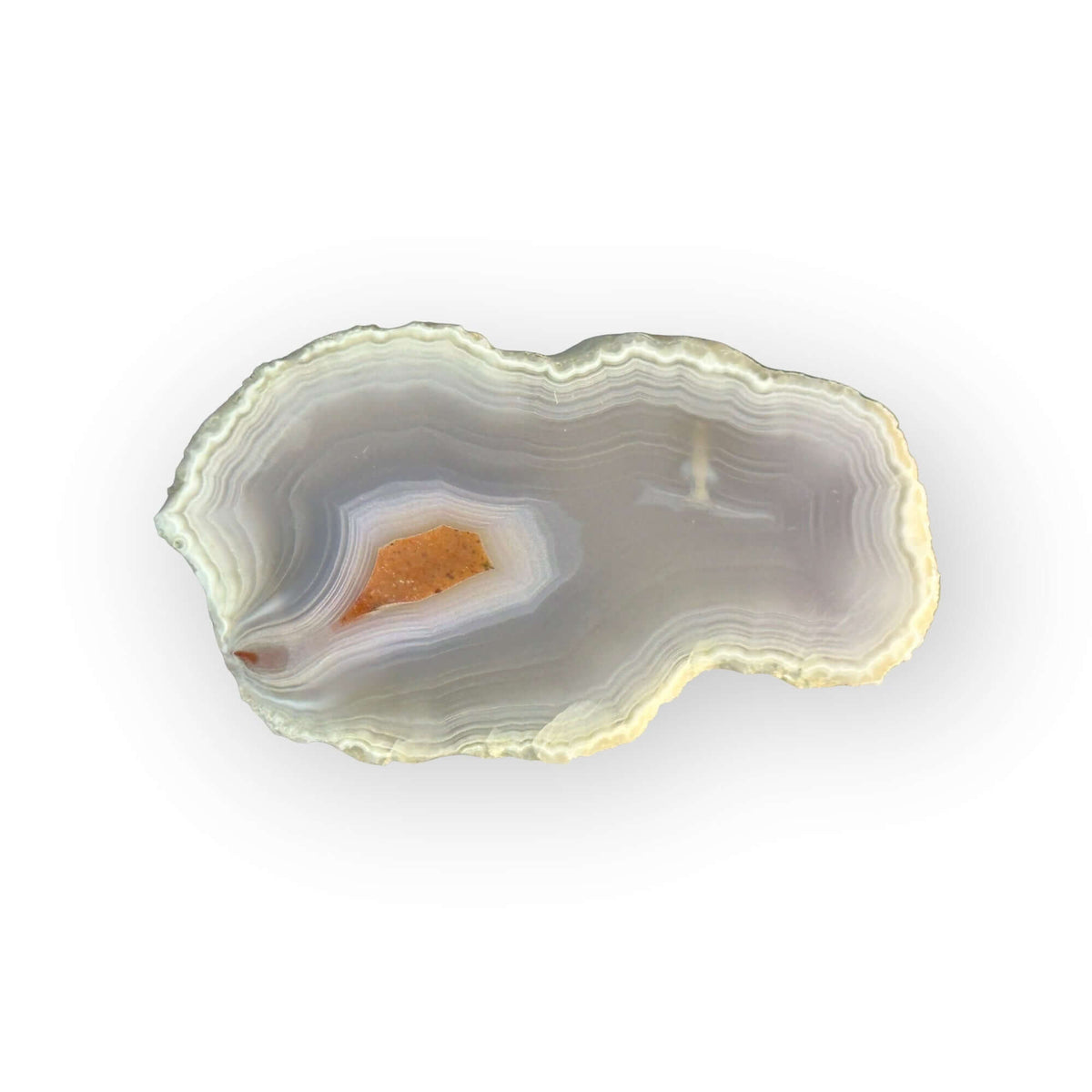 LAGUNA AGATE 117 - Del Rey Agates Gems & Minerals Inc.