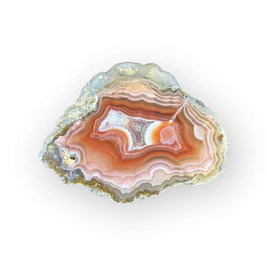 LAGUNA AGATE 124 - Del Rey Agates Gems & Minerals Inc.