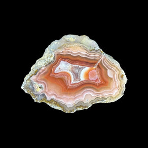 LAGUNA AGATE 124 - Del Rey Agates Gems & Minerals Inc.