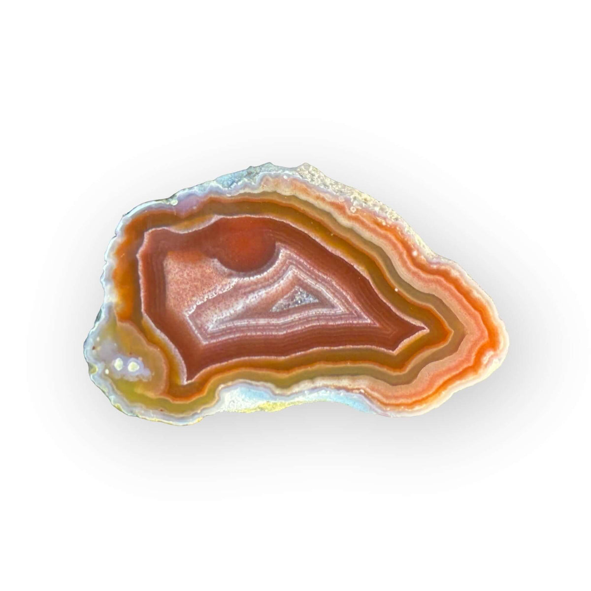 LAGUNA AGATE 129 - Del Rey Agates Gems & Minerals Inc.