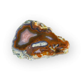LAGUNA AGATE 137 - Del Rey Agates Gems & Minerals Inc.