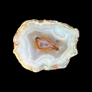 LAGUNA AGATE 190 - Del Rey Agates Gems & Minerals Inc.