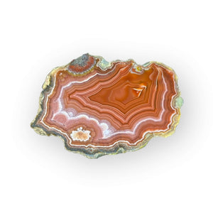 LAGUNA AGATE 199 - Del Rey Agates Gems & Minerals Inc.