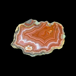 LAGUNA AGATE 199 - Del Rey Agates Gems & Minerals Inc.
