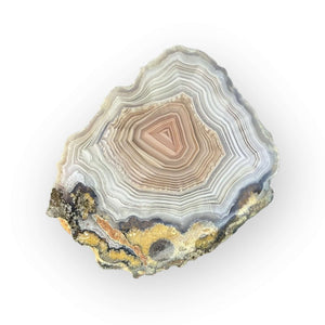 LAGUNA AGATE 200 - Del Rey Agates Gems & Minerals Inc.