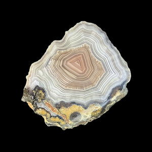 LAGUNA AGATE 200 - Del Rey Agates Gems & Minerals Inc.