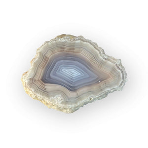 LAGUNA AGATE 202 - Del Rey Agates Gems & Minerals Inc.