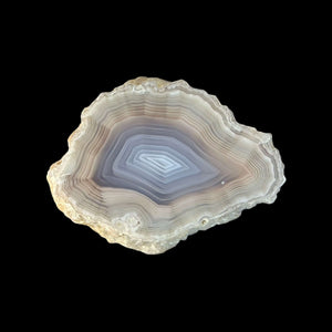 LAGUNA AGATE 202 - Del Rey Agates Gems & Minerals Inc.