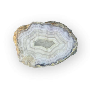 LAGUNA AGATE 203 - Del Rey Agates Gems & Minerals Inc.