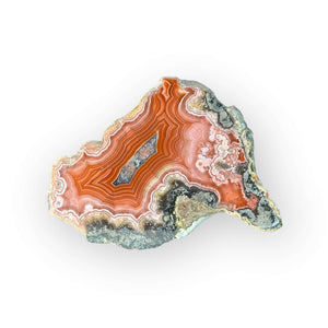 LAGUNA AGATE 206 - Del Rey Agates Gems & Minerals Inc.