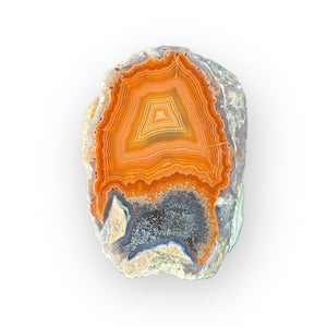 LAGUNA AGATE 211 - Del Rey Agates Gems & Minerals Inc.