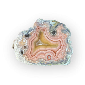 LAGUNA AGATE 213 - Del Rey Agates Gems & Minerals Inc.