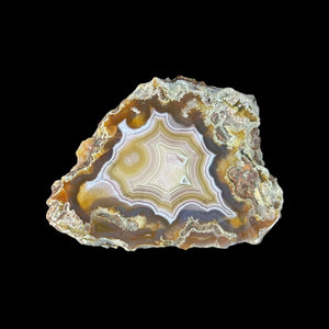 LAGUNA AGATE 214 - Del Rey Agates Gems & Minerals Inc.