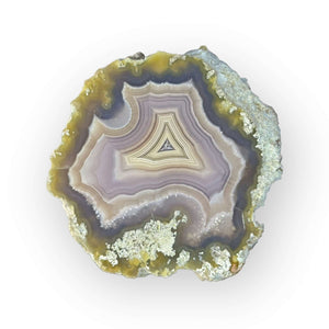 LAGUNA AGATE 215 - Del Rey Agates Gems & Minerals Inc.