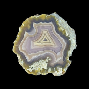 LAGUNA AGATE 215 - Del Rey Agates Gems & Minerals Inc.