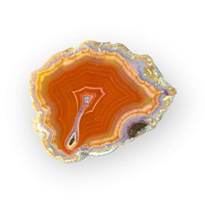 LAGUNA AGATE 218 - Del Rey Agates Gems & Minerals Inc.