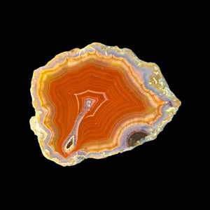 LAGUNA AGATE 218 - Del Rey Agates Gems & Minerals Inc.