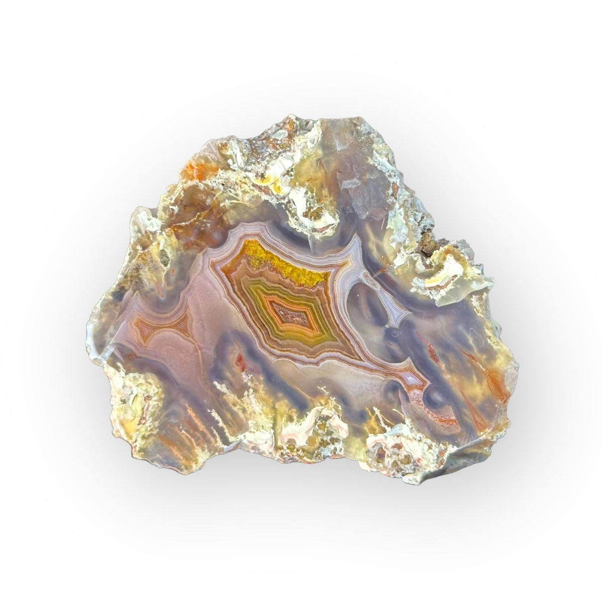 LAGUNA AGATE 221 - Del Rey Agates Gems & Minerals Inc.
