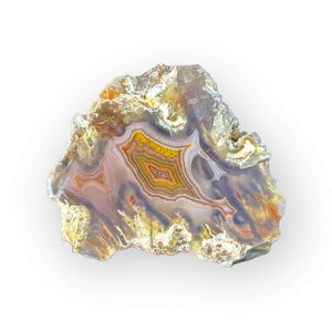 LAGUNA AGATE 221 - Del Rey Agates Gems & Minerals Inc.