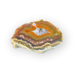LAGUNA AGATE 225 - Del Rey Agates Gems & Minerals Inc.