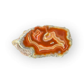 LAGUNA AGATE 226 - Del Rey Agates Gems & Minerals Inc.