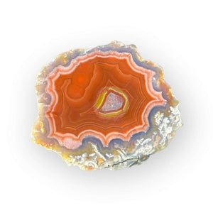 LAGUNA AGATE 227 - Del Rey Agates Gems & Minerals Inc.