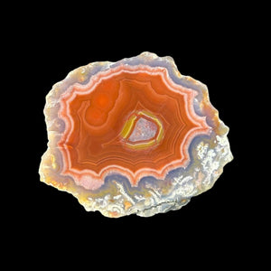 LAGUNA AGATE 227 - Del Rey Agates Gems & Minerals Inc.