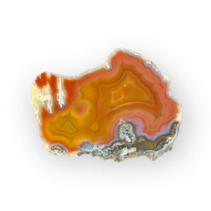 LAGUNA AGATE 228 - Del Rey Agates Gems & Minerals Inc.
