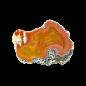 LAGUNA AGATE 228 - Del Rey Agates Gems & Minerals Inc.