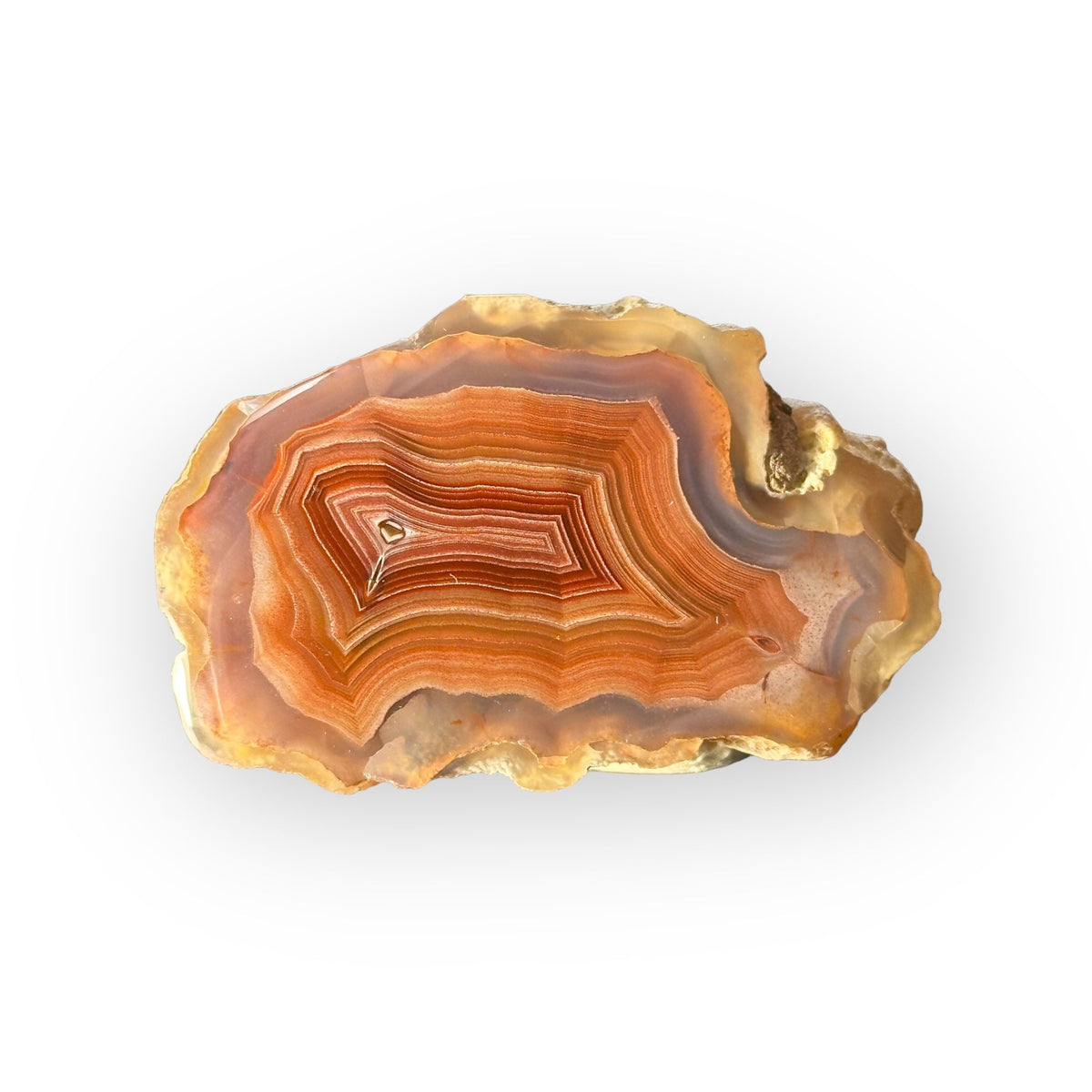 LAGUNA AGATE 229 - Del Rey Agates Gems & Minerals Inc.