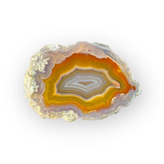 LAGUNA AGATE 231 - Del Rey Agates Gems & Minerals Inc.