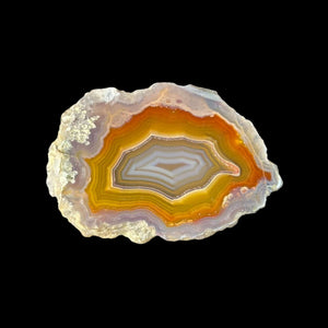LAGUNA AGATE 231 - Del Rey Agates Gems & Minerals Inc.