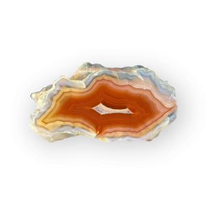 LAGUNA AGATE 232 - Del Rey Agates Gems & Minerals Inc.