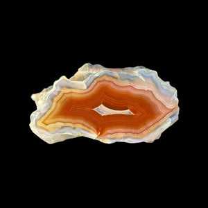 LAGUNA AGATE 232 - Del Rey Agates Gems & Minerals Inc.