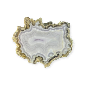LAGUNA AGATE 234 - Del Rey Agates Gems & Minerals Inc.