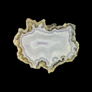 LAGUNA AGATE 234 - Del Rey Agates Gems & Minerals Inc.