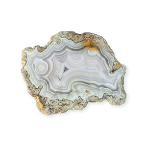 LAGUNA AGATE 235 - Del Rey Agates Gems & Minerals Inc.