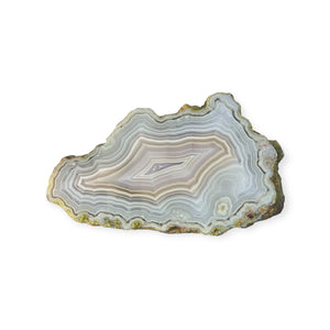 LAGUNA AGATE 236 - Del Rey Agates Gems & Minerals Inc.