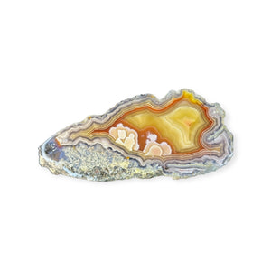 LAGUNA AGATE 237 - Del Rey Agates Gems & Minerals Inc.
