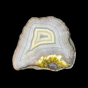 LAGUNA AGATE 239 - Del Rey Agates Gems & Minerals Inc.