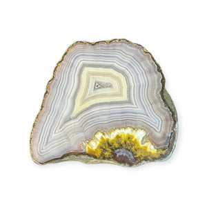 LAGUNA AGATE 239 - Del Rey Agates Gems & Minerals Inc.