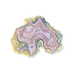 LAGUNA AGATE 241 - Del Rey Agates Gems & Minerals Inc.